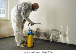 Best Mold Remediation for Vacation Homes  in Makawao, HI